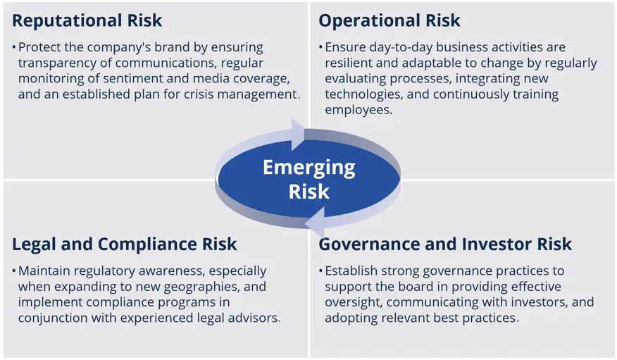Chart showcasing four different types of Emerging Risk