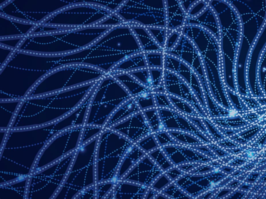 Cyber Risk Oversight Assets Image