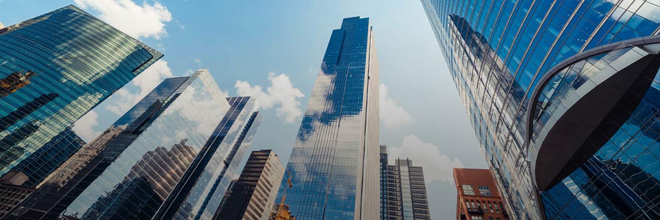 NACD Private Company Directorship