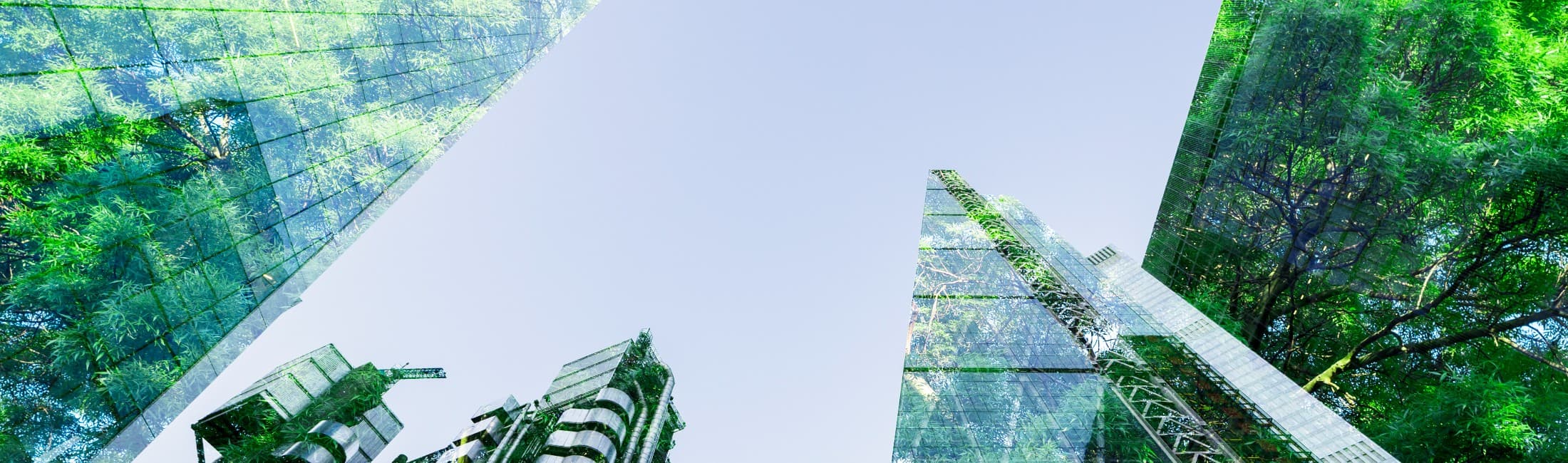 Image of tall glass buildings with trees reflecting to represent climate governance